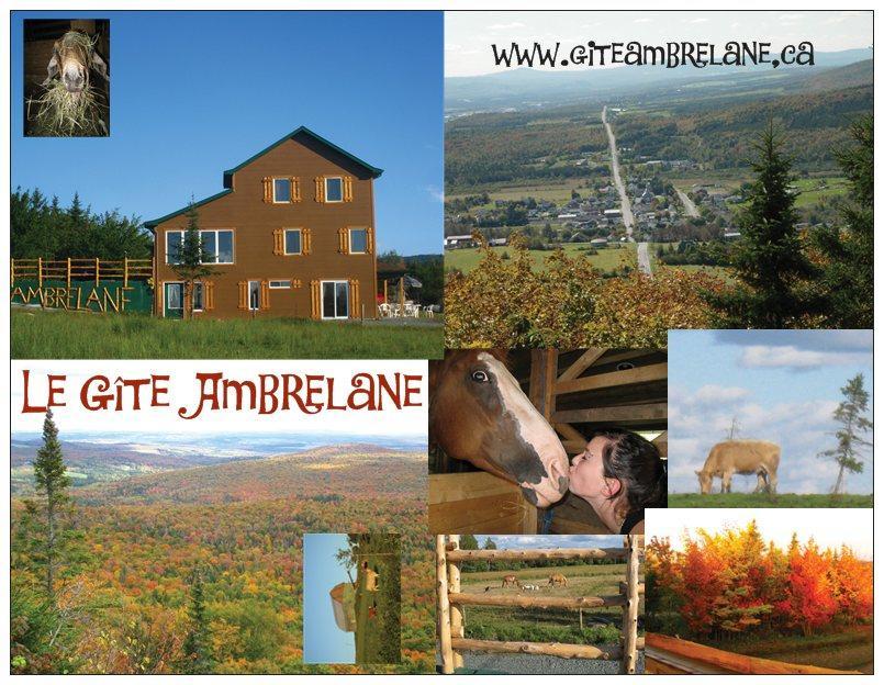 Le Gîte Ambrelane Thetford Mines Extérieur photo