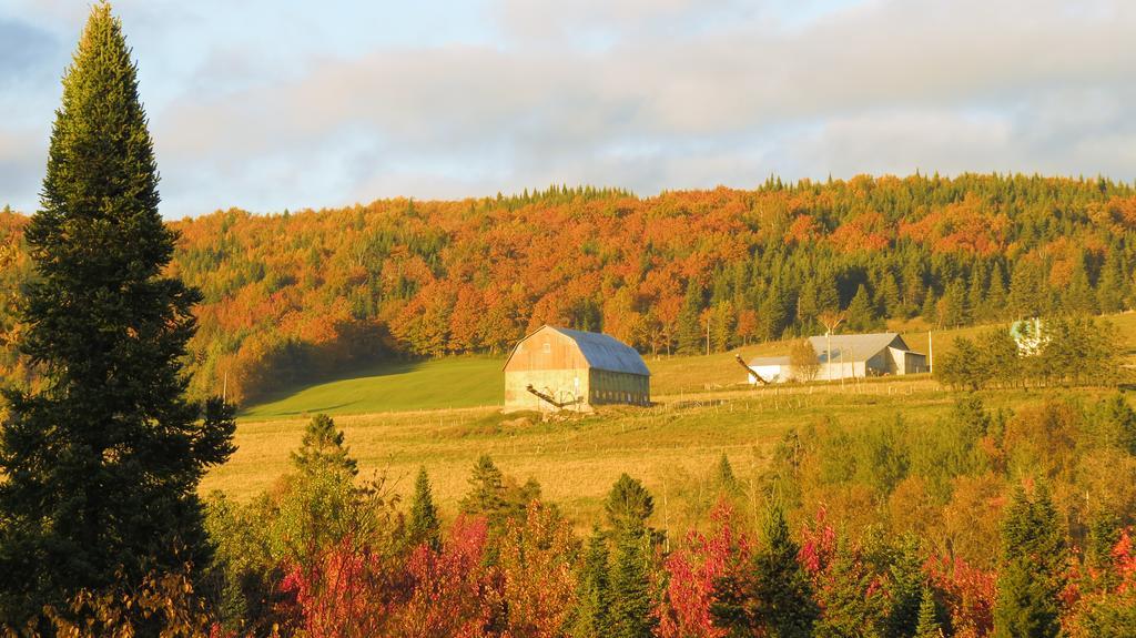 Le Gîte Ambrelane Thetford Mines Extérieur photo